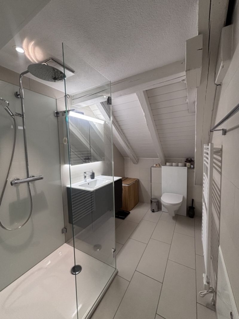 3½ ZIMMER-ATTIKAWOHNUNG IN ZÜRICH - KREIS 3 WIEDIKON, MÖBLIERT, TEMPORÄR - 6