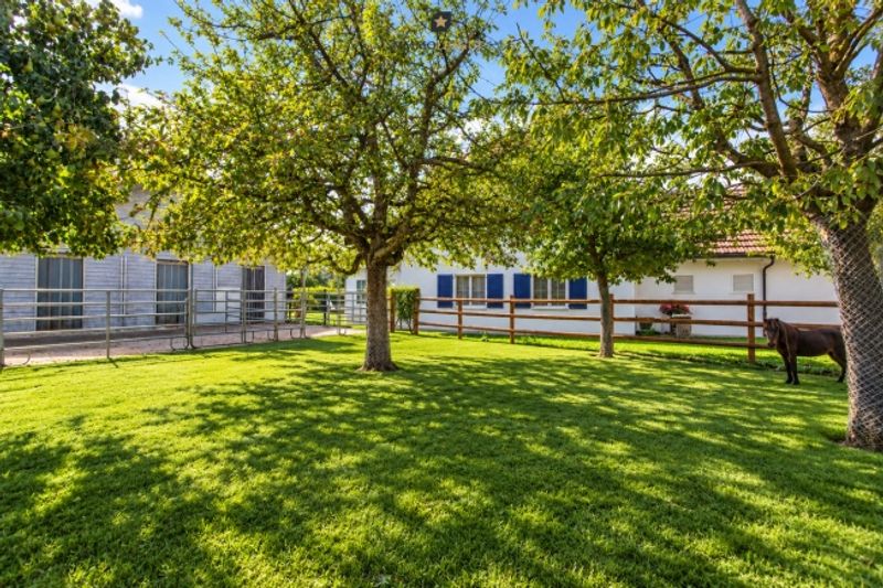 Ihr Traum vom Landleben Exklusives Landhaus mit Pferdestall & Weite. - 5