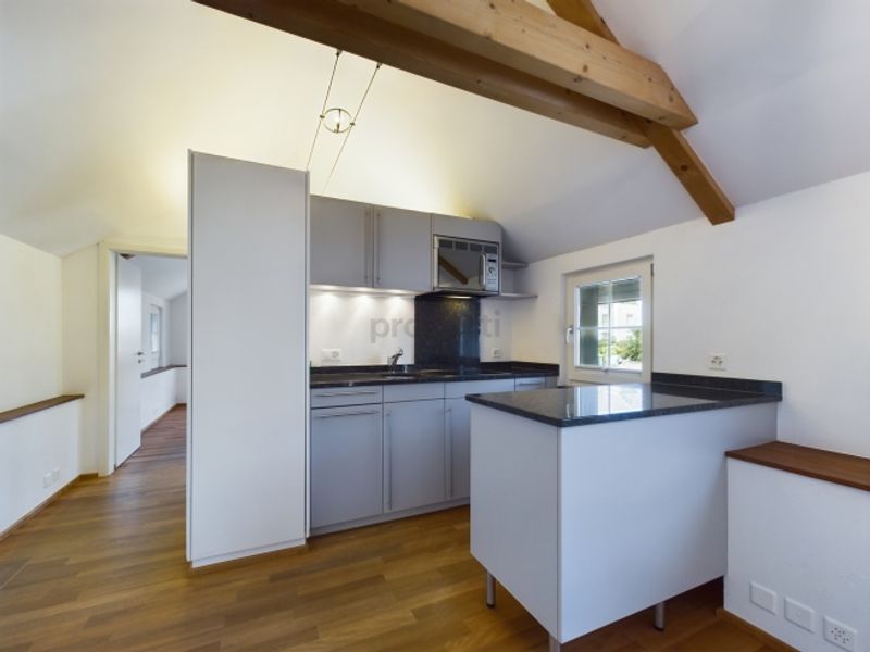 Hohe Decken, 28 m² Terrasse mit Blick auf den historischen Dorfkern und separates Büro im EG - 4