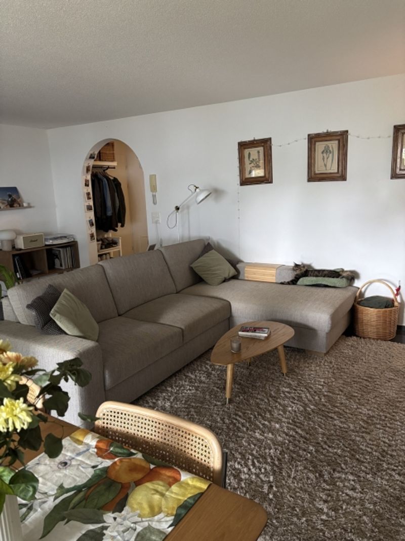 3½ ZI-WOHNUNG IN BIBERIST (SO), MÖBLIERT, TEMPORÄR - 1