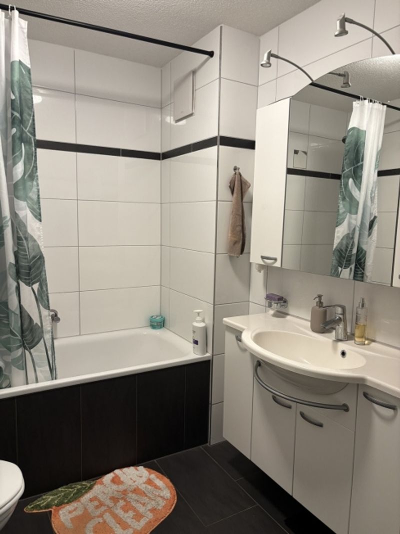 3½ ZI-WOHNUNG IN BIBERIST (SO), MÖBLIERT, TEMPORÄR - 5