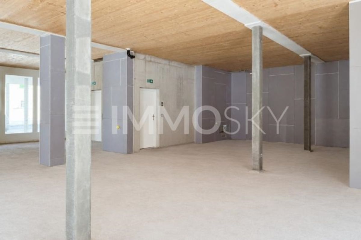 Moderne Gewerbefläche mit Ausbaupotenzial und grosser Aussenfläche - 4