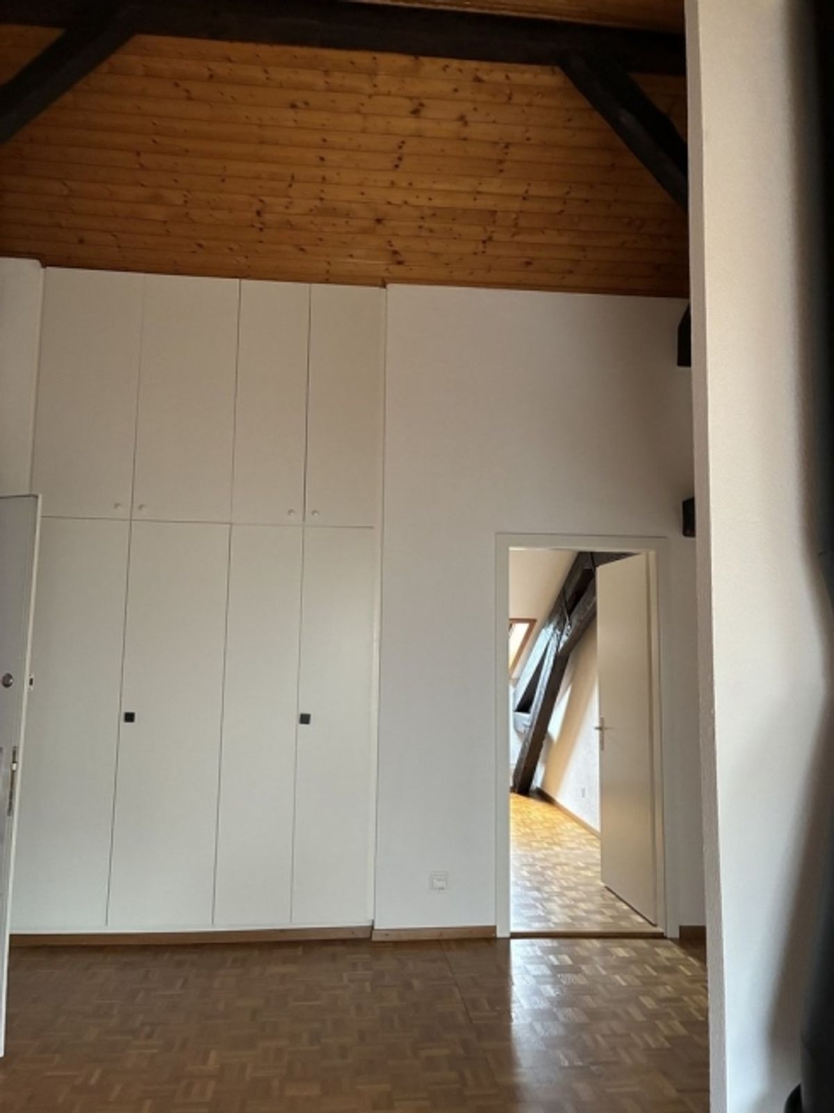 Grand appartement de 3 pièces sous combles dans immeuble historique - 0
