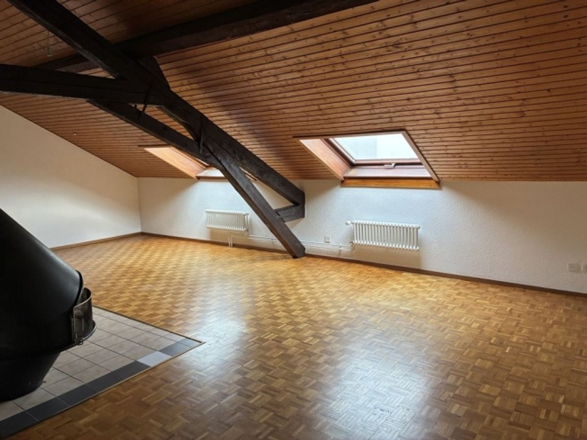 Grand appartement de 3 pièces sous combles dans immeuble historique - 2