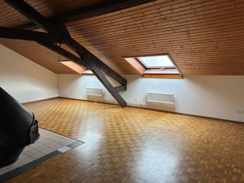 Grand appartement de 3 pièces sous combles dans immeuble historique - 3