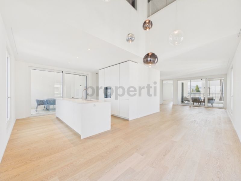 Exklusive Neubau-Attika 4.5 Zimmer - 1