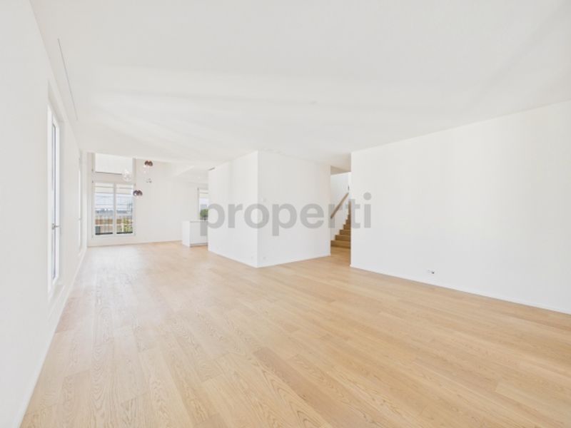 Exklusive Neubau-Attika 4.5 Zimmer - 7