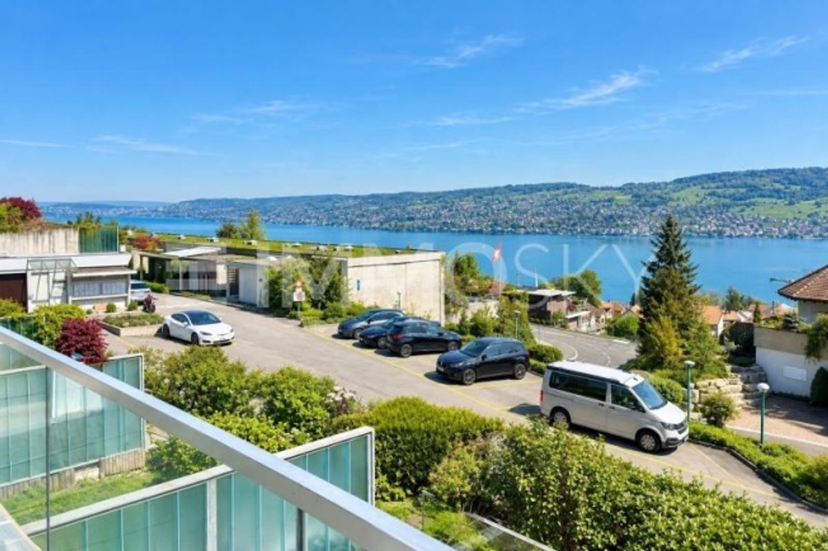 Ihr neues Zuhause mit Panoramasicht von Zürich bis in die Alpen - 4