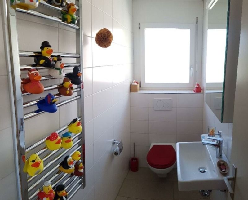3½ ZIMMER-ATTIKAWOHNUNG IN ZÜRICH - KREIS 11 OERLIKON, MÖBLIERT, TEMPORÄR - 8