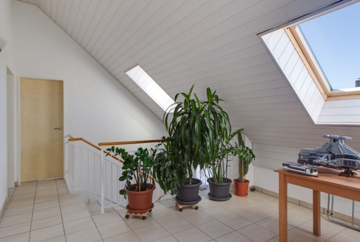 6.5 Zimmer Doppelhaushälfte mit Garten in Winterthur mieten - 5