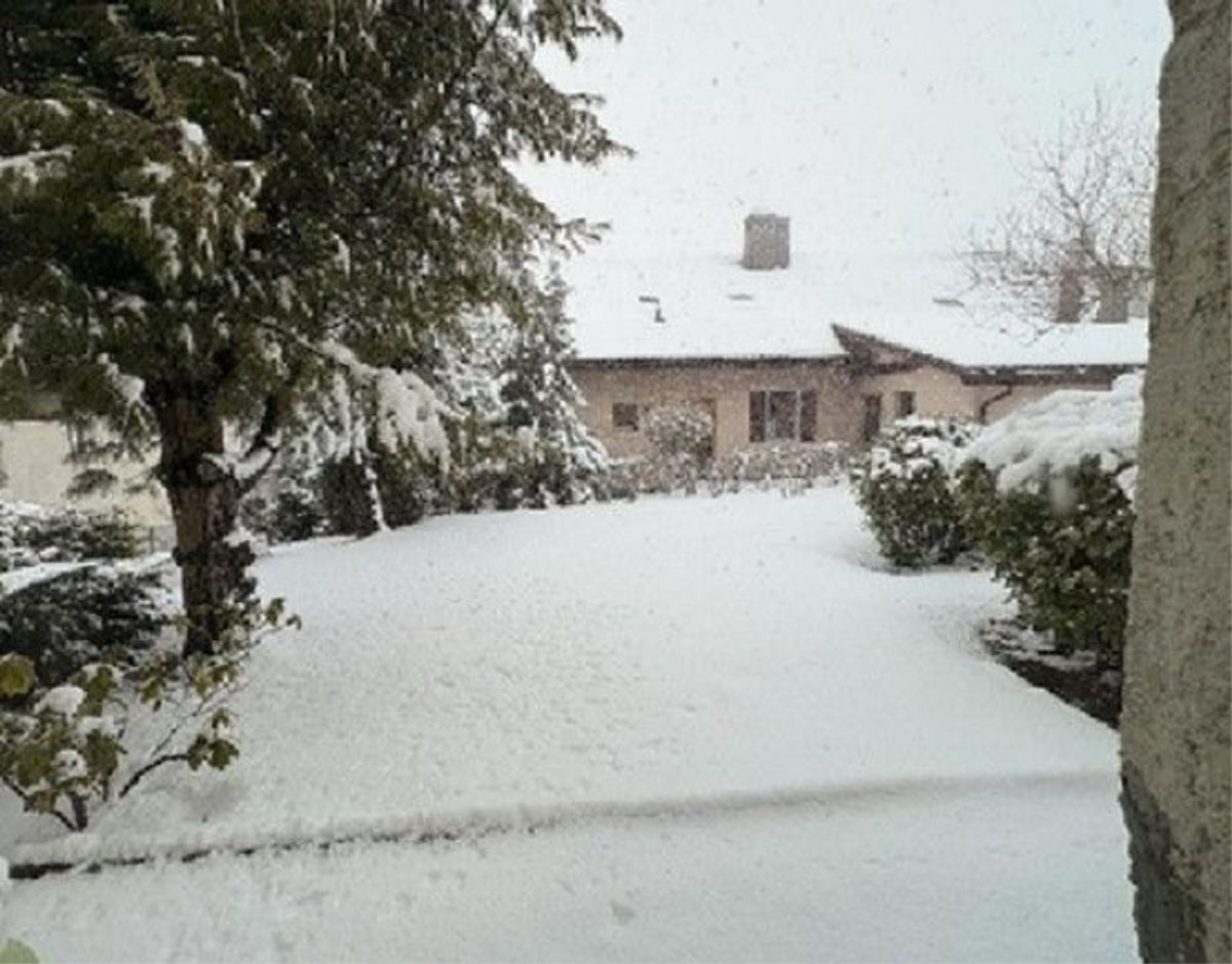 *Haus mit Garten* - 2