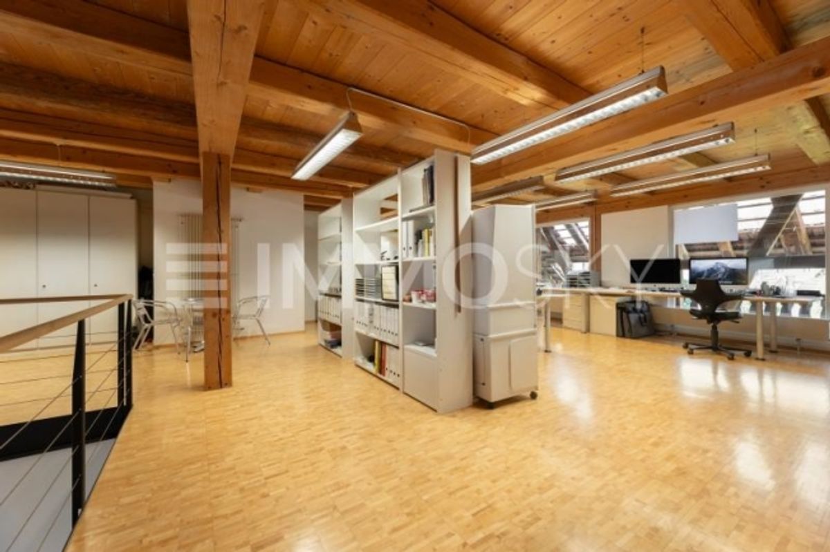 Historische Möglichkeit Zwei Einheiten, Atelier und Ausbaupotenzial - 3