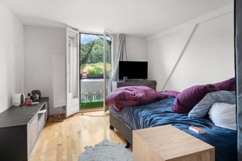 Historische Liegenschaft mit laufenden Erträgen und vielfältigen Nutzungsmöglichkeiten - 8