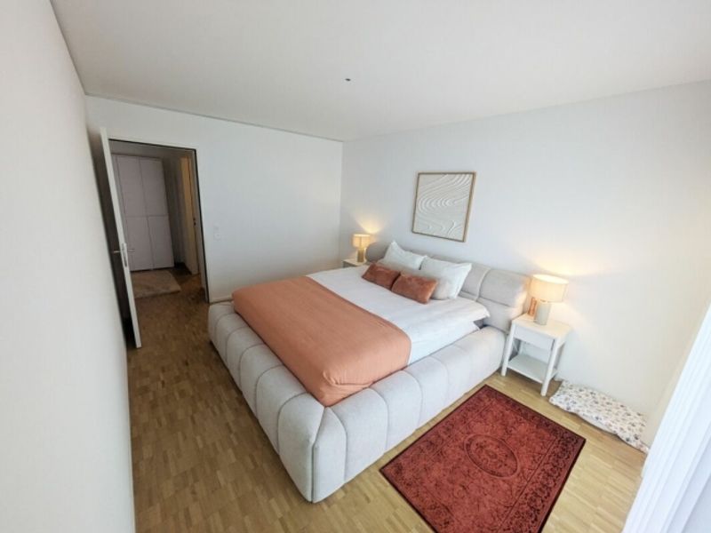 Möblierte Wohnung im Claraturm zur befristeten Untermiete in Basel - 10