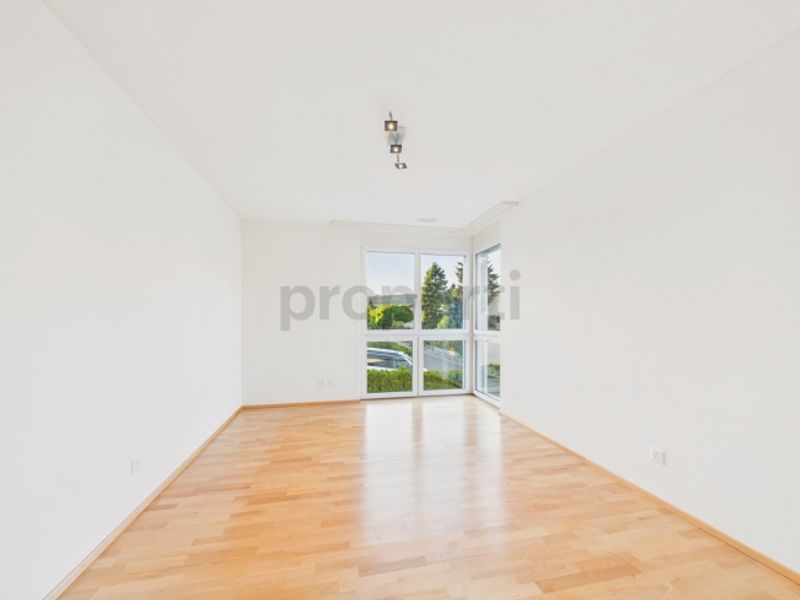 Moderne 4.5-Zimmer-Wohnung mit Balkon, Dachsen - 6