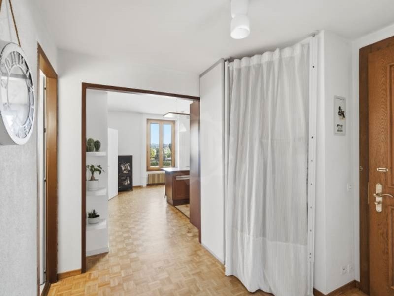 Angenehme Wohnung - Chêne-Bourg - 1