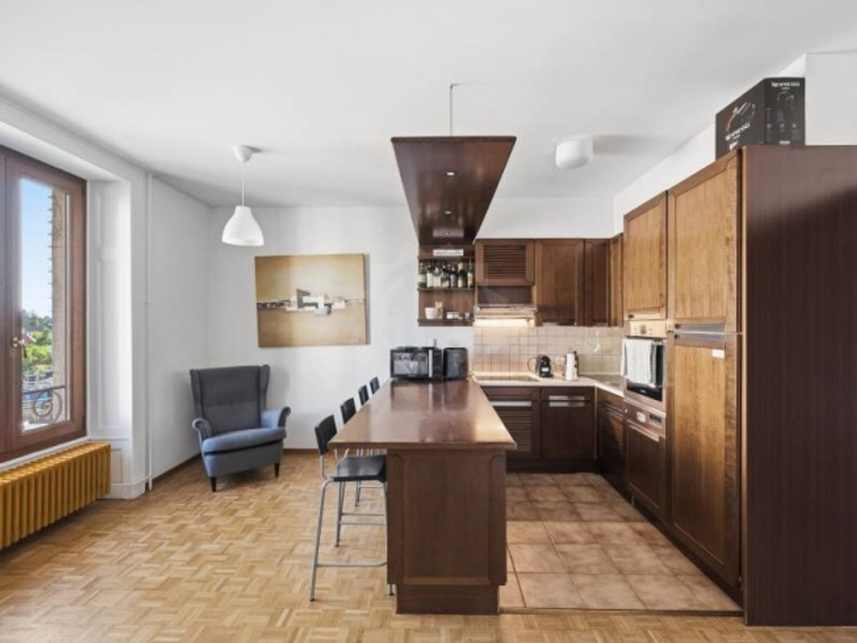 Angenehme Wohnung - Chêne-Bourg - 2