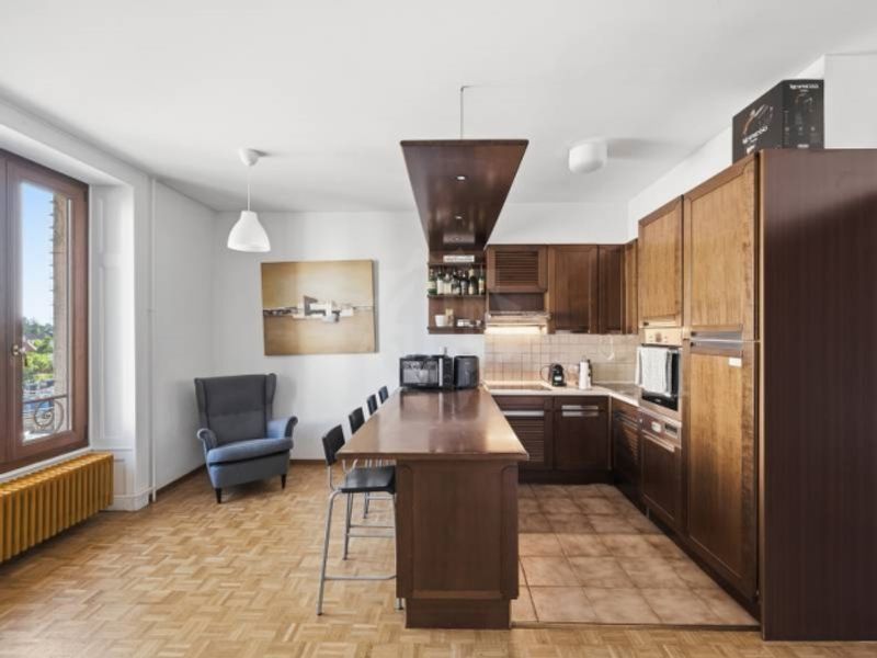 Angenehme Wohnung - Chêne-Bourg - 3