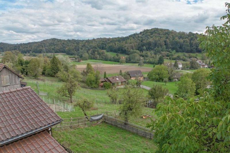 Zweifamilienhaus mit Stall und Landwirtschaftsland in Wettingen - 13