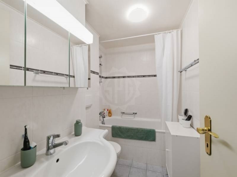 Angenehme Wohnung - Chêne-Bourg - 11