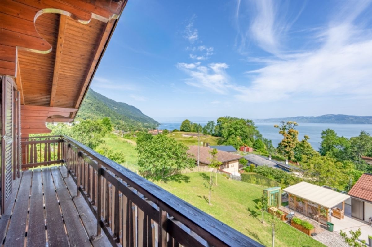 EIN AUSSERGEWÖHNLICHES PANORAMA DES GENFERSEES - 5