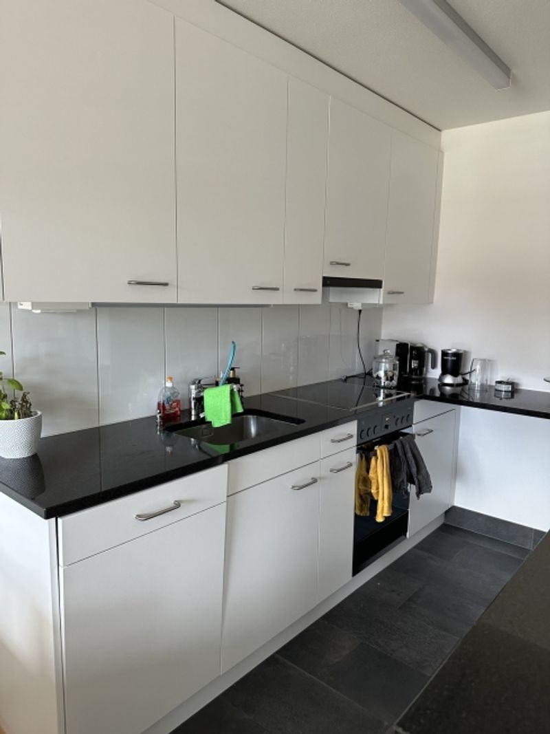 4½ ZI-WOHNUNG IN VOLKETSWIL (ZH), MÖBLIERT, TEMPORÄR - 4