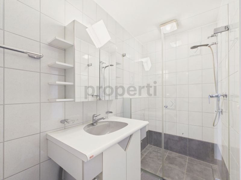 Neu renovierte 4.5-Zimmer-Elegantwohnung mit eigenem Parkplatz, Bubendorf - 11