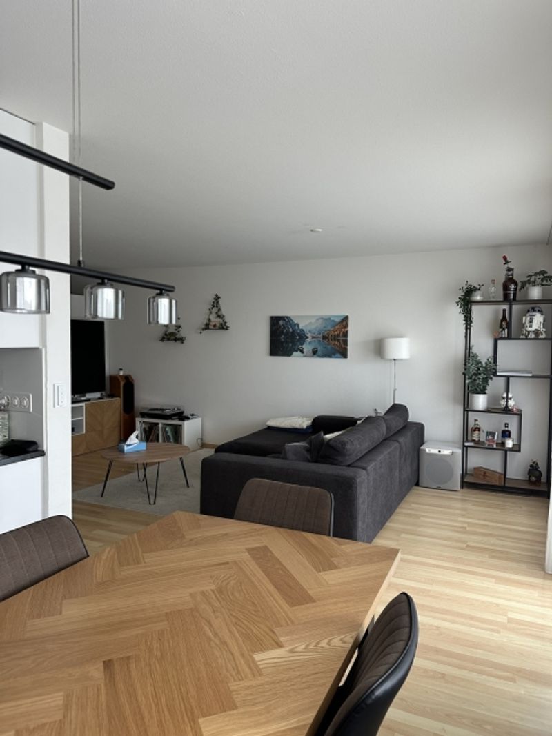 4½ ZI-WOHNUNG IN VOLKETSWIL (ZH), MÖBLIERT, TEMPORÄR - 5