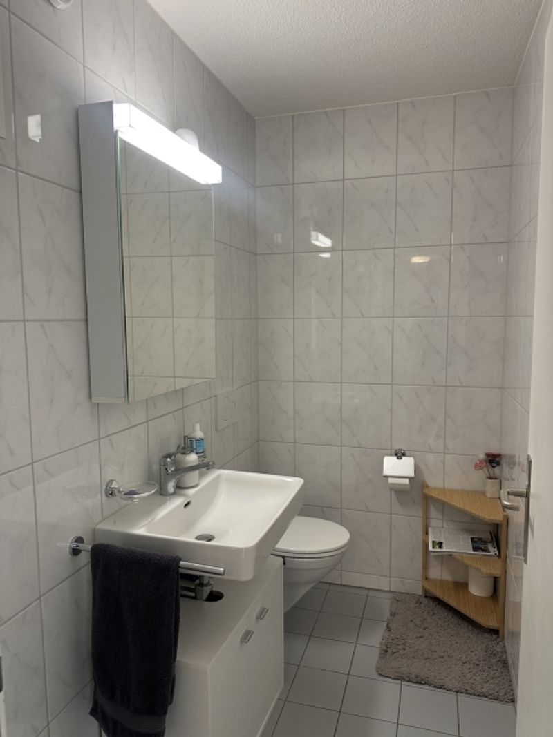 4½ ZI-WOHNUNG IN VOLKETSWIL (ZH), MÖBLIERT, TEMPORÄR - 7