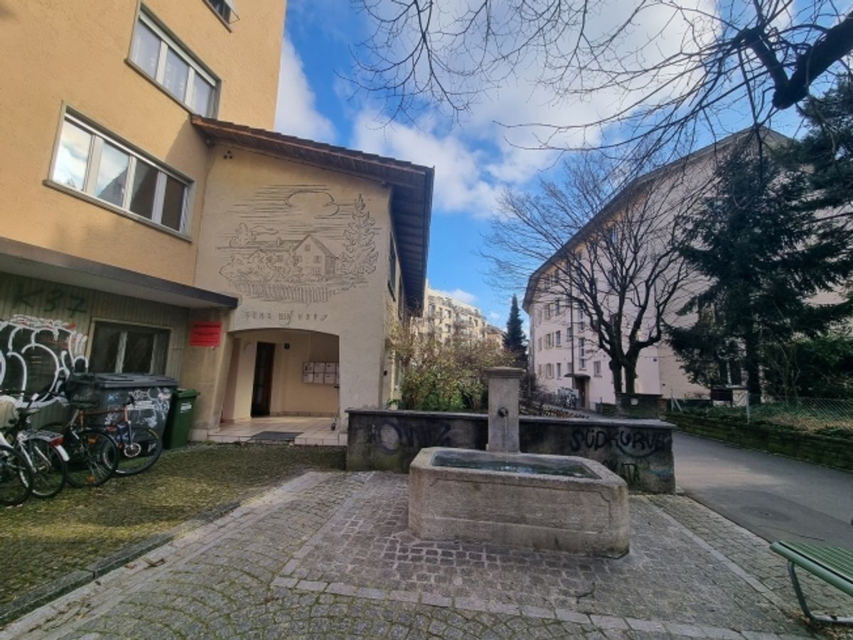 1 ZWG (2023 saniert) an ruhiger Lage mit einfacher Möblierung, Kreis 3 - 11