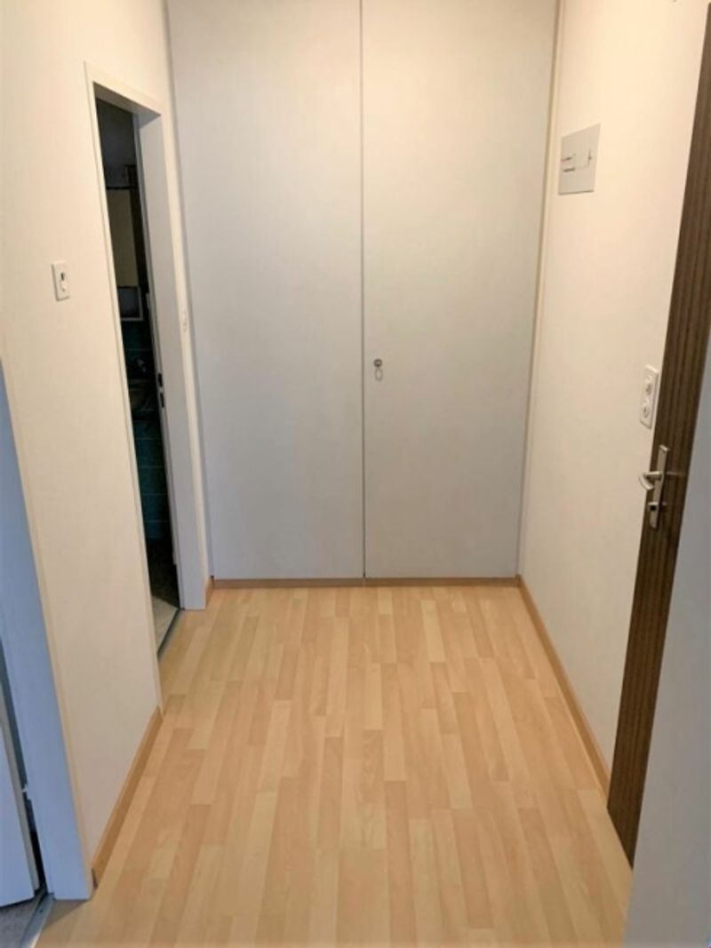 Hell und geräumig, mit Balkon im Grünen! - 6