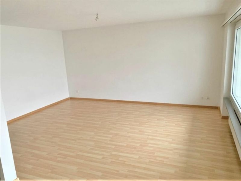 Hell und geräumig, mit Balkon im Grünen! - 3