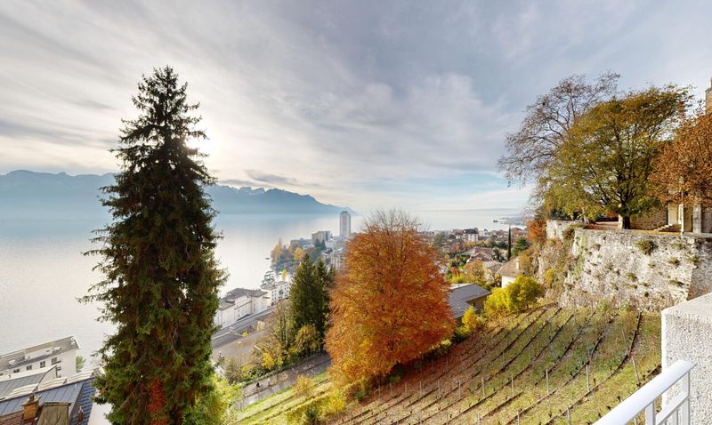 Terrain à bâtir in à Montreux - 9