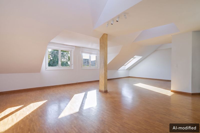 Top-Floor Apartment with rooftop in Petit-Saconnex - 2