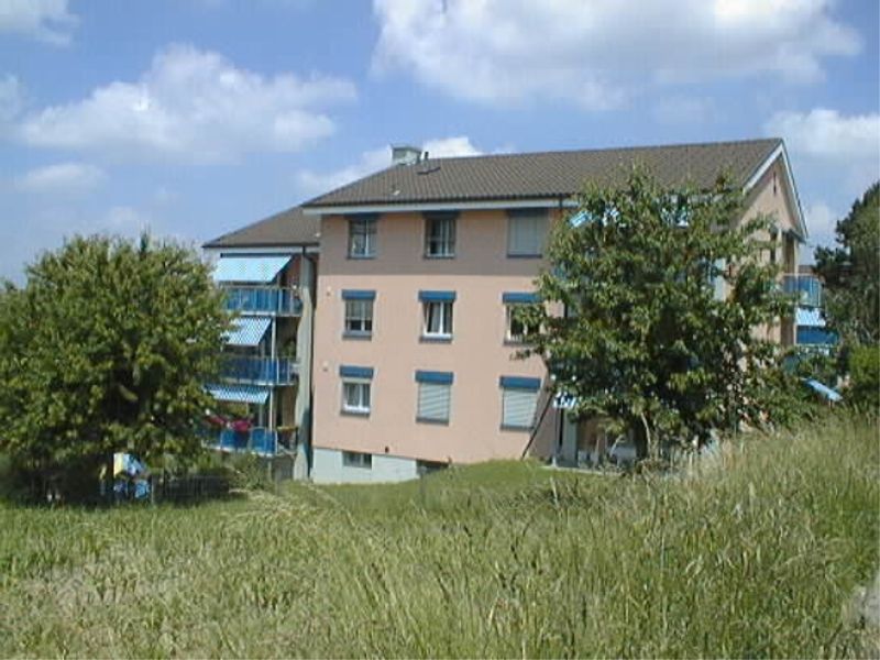 4.5 pièces dans un quartier tranquille et ensoleillé - 2