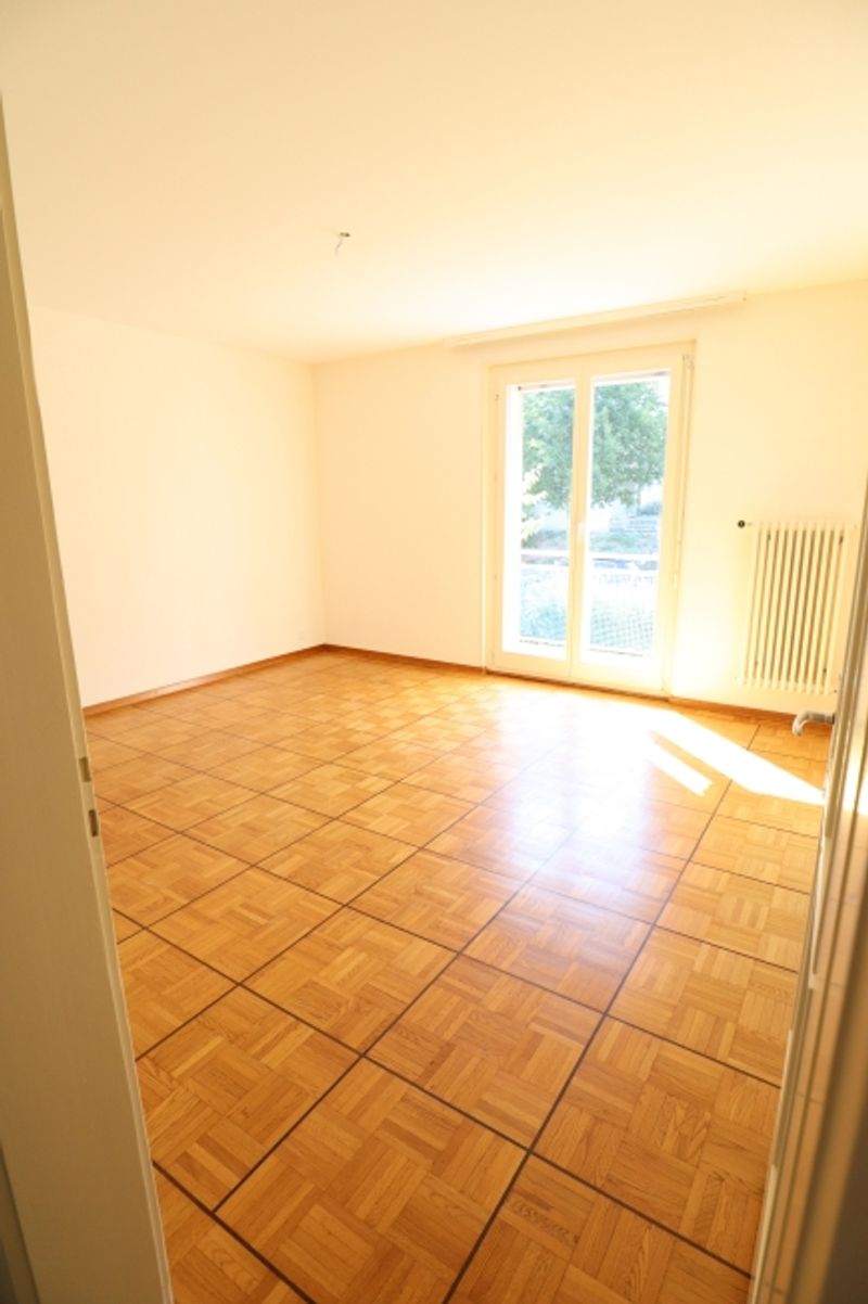 4.5 pièces dans un quartier tranquille et ensoleillé - 3