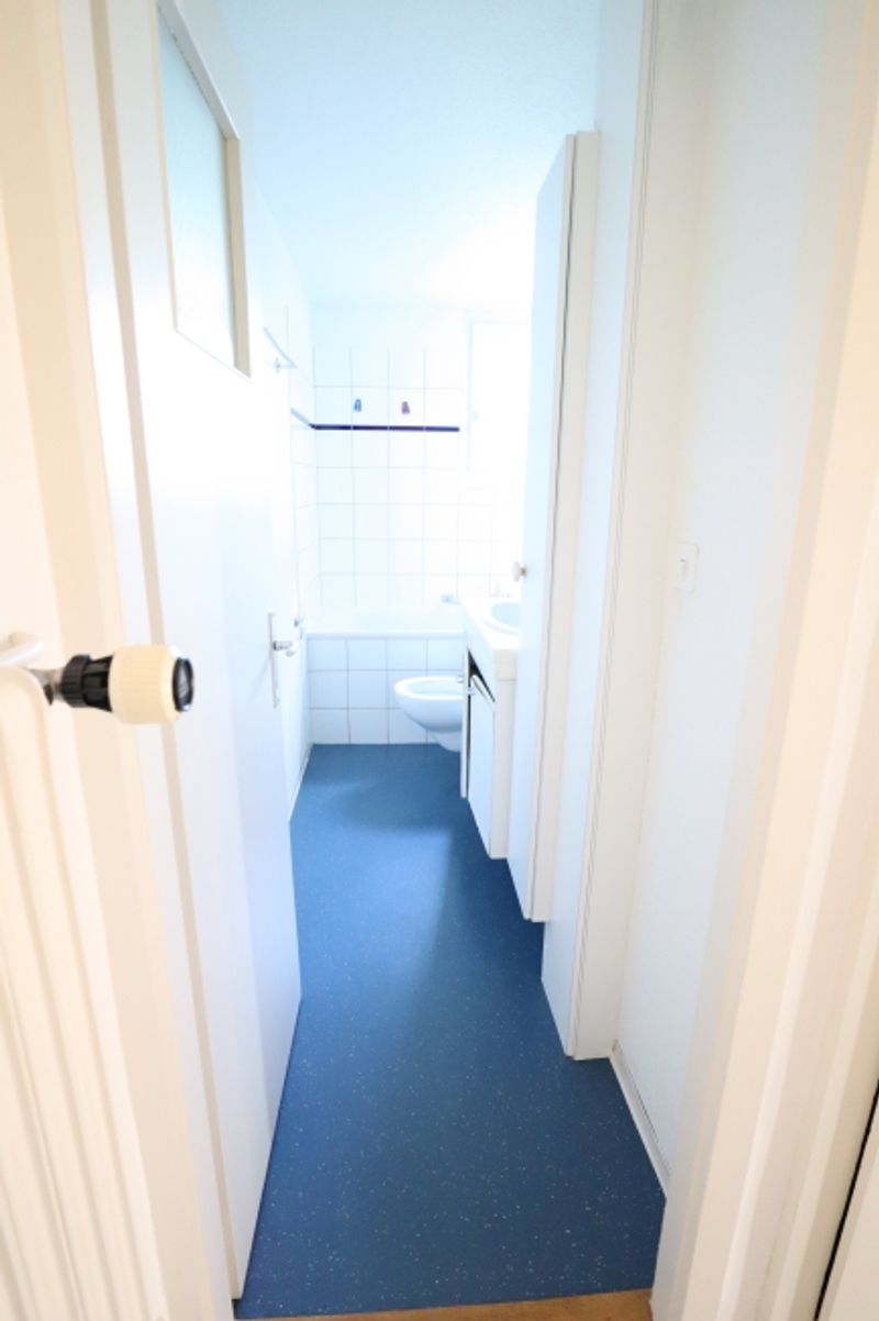 4.5 pièces dans un quartier tranquille et ensoleillé - 6