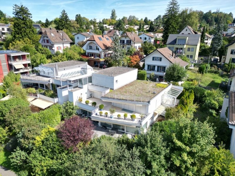 4.5-Zimmer-Terrassenwohnung, 96 m2 Terrasse, Adliswil kaufen - 1