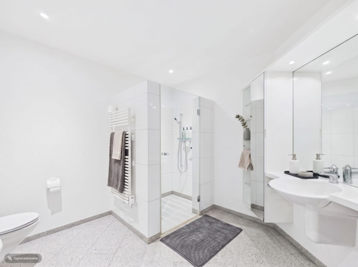 4.5-Zimmer-Terrassenwohnung, 96 m2 Terrasse, Adliswil kaufen - 7