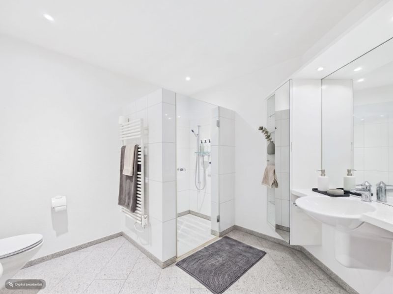 4.5-Zimmer-Terrassenwohnung, 96 m2 Terrasse, Adliswil kaufen - 8