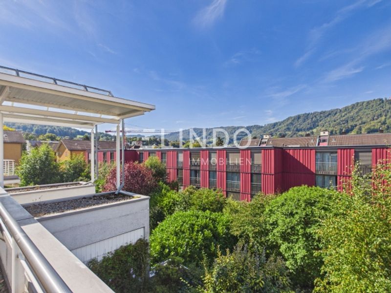 4.5-Zimmer-Terrassenwohnung, 96 m2 Terrasse, Adliswil kaufen - 10