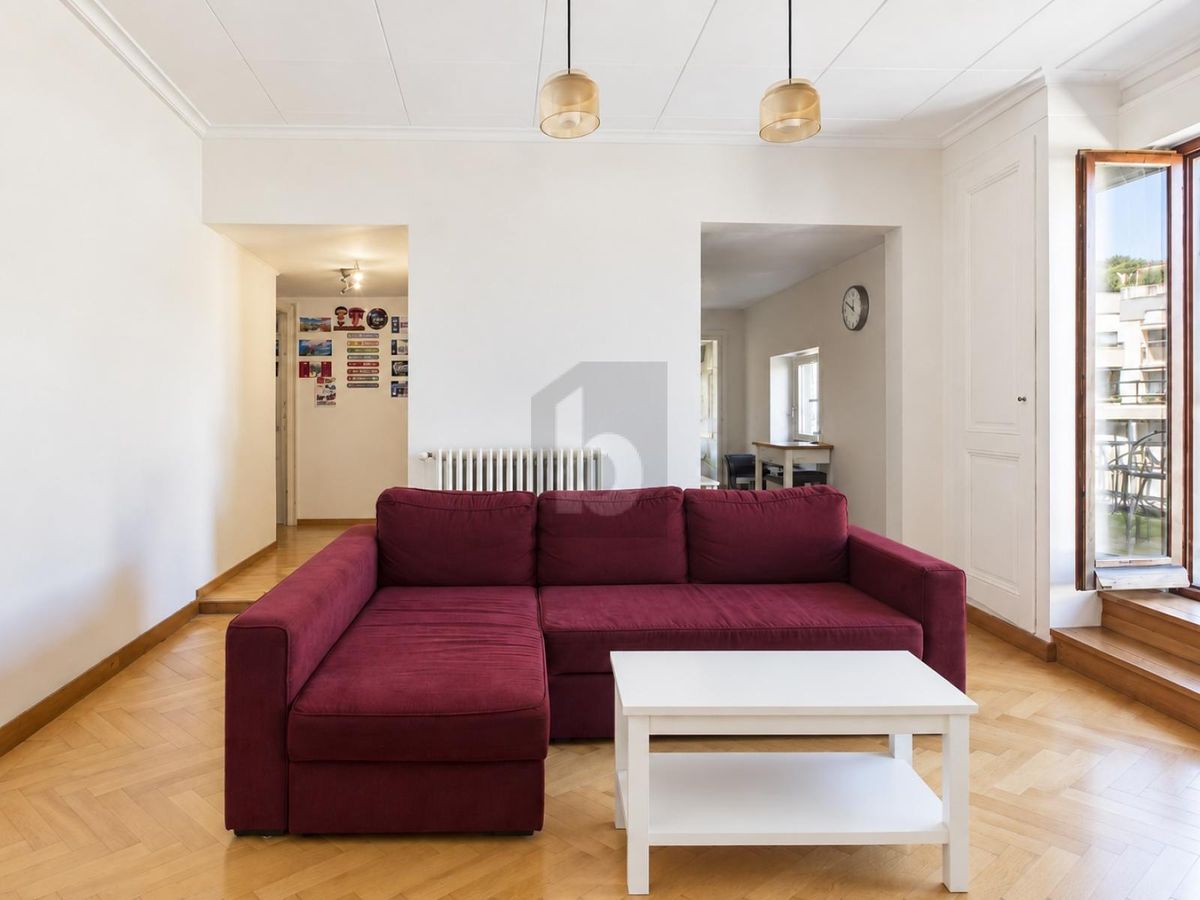 ATTIQUE AVEC BALCON À SERVETTE-CHARMILLES - 2