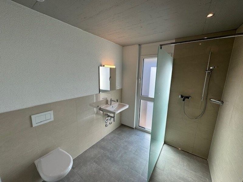 Traumwohnung in Heerbrugg - 5