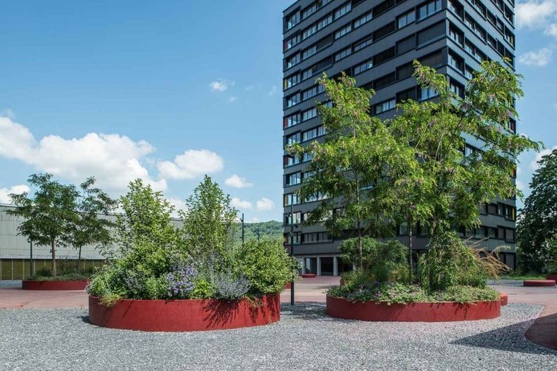 Mitten in der Stadt und doch im Grünen! - 1
