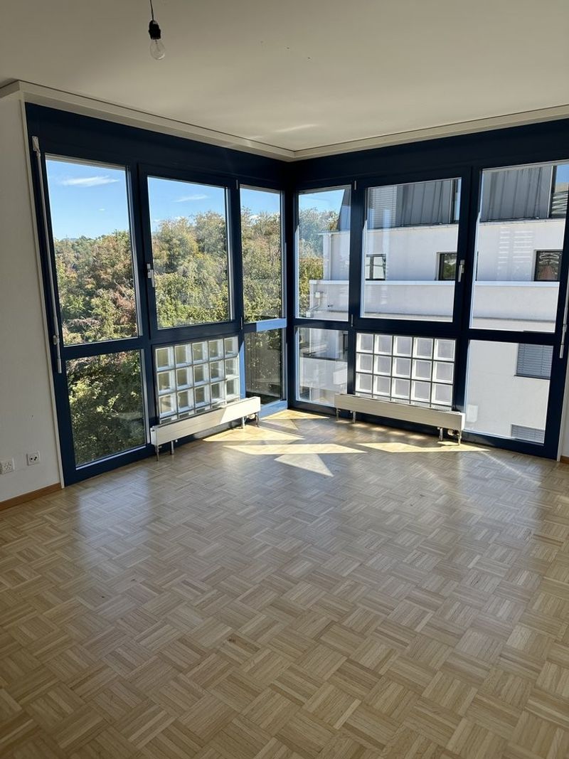 A saisir ! Magnifique logement idéalement situé à Fribourg ! - 4