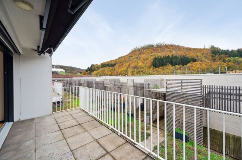 MIETEN OHNE KAUTION - grosszügige Wohnung mit viel Sonne - 9