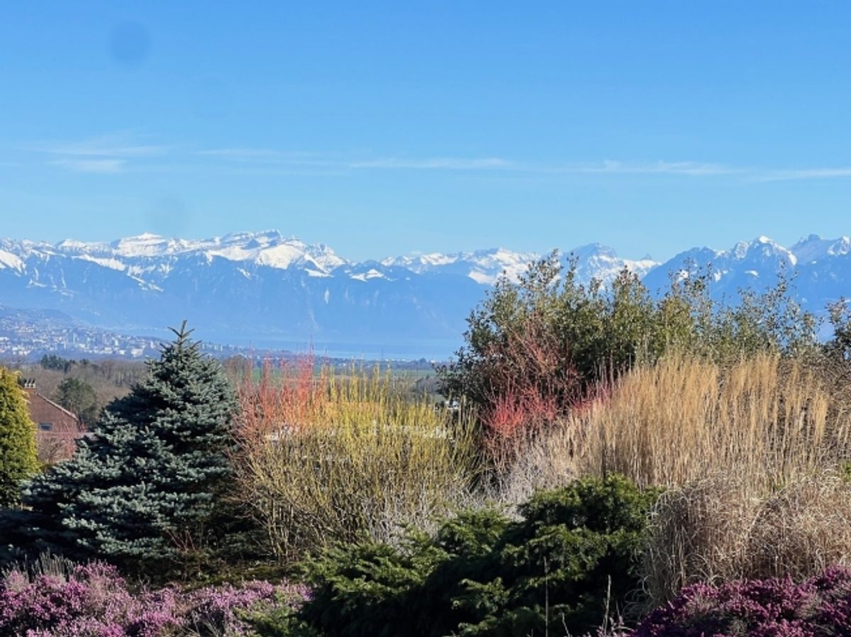 Charmantes Anwesen, grandioses Panorama, absolute Eleganz auf 420 m2 - 1