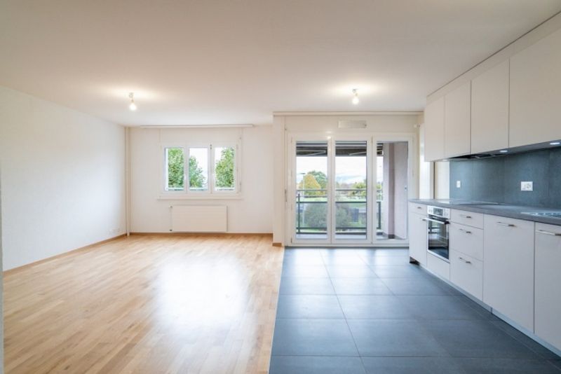 Großartige 3,5-Zimmer-Wohnung - 1