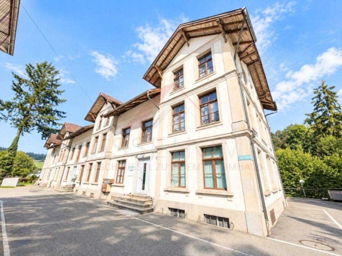 Historisches Fabrikensemble mit bestehendem Ertrag und Entwicklungspotenzial - 0