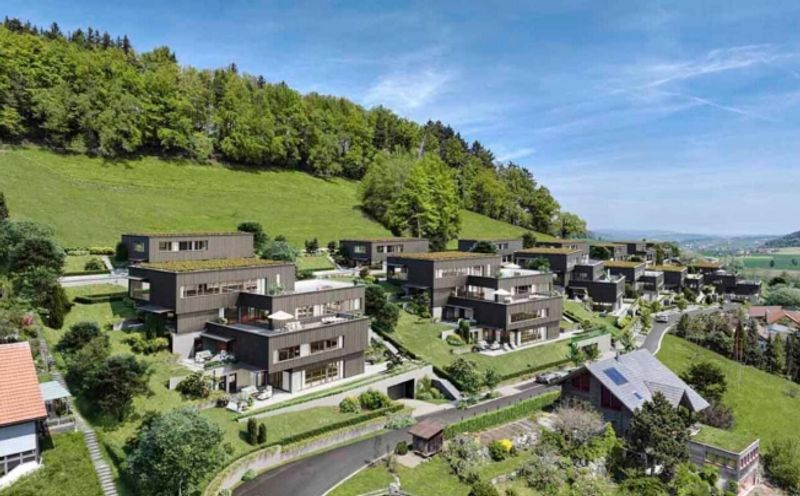Traumhafte Fernsicht auf Alpstein mit Säntis und Churfirsten - 5.5-Zi.-Terrassenhaus - 1